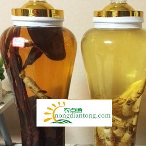 灵芝怎样泡酒，泡酒大全带你看功效,第2图