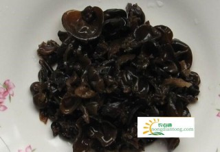 黑木耳海参猪肠汤功效与作用，补养阴血、滋润肠燥,第3图