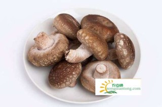 高压锅炖香菇鸡汤的做法大全，香菇的营养价值有哪些？,第1图