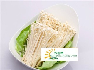 金针菇的药用作用和图片,第6图