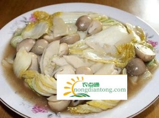 草菇栽培的材料有哪些,第3图