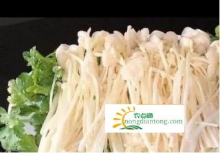 金针菇日本豆腐怎么做？,第2图