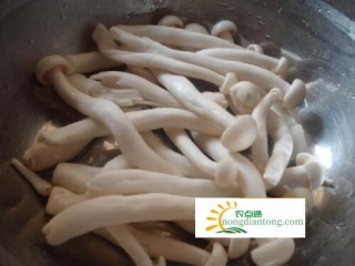 海鲜菇的功效作用,第1图