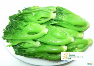 芥菜平菇一起吃么？怎么吃芥菜平菇,第3图