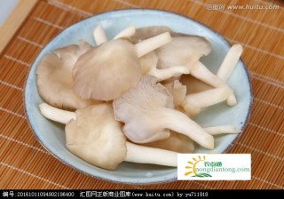 孕妇可以吃平菇吗？平菇的作用有哪些？,第2图