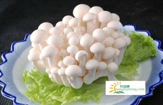 白玉菇可以和鸡蛋一起吃吗？,第3图