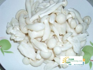 凉拌白玉菇的做法窍门，白玉菇的功效与作用,第1图