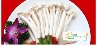 海鲜菇搭配禁忌能和菠菜,第1图