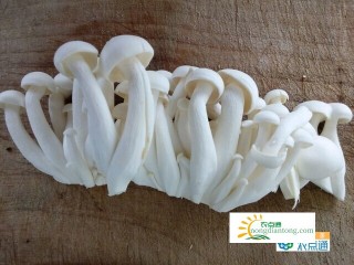蛋黄白玉菇的做法,第3图