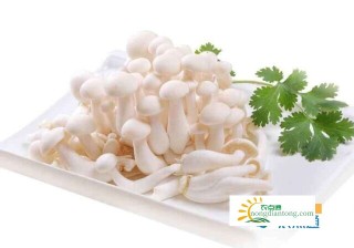 白玉菇虾仁汤家常做法，经常吃白玉菇有哪些好处?,第3图