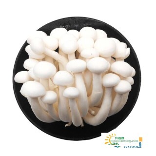 白玉菇与蟹味菇的区别及白玉菇与蟹味菇的营养价值,第4图