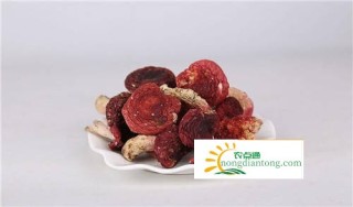 红菇营养分析和红菇的图片,第5图
