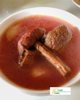 红菇炖鸡汤的做法大全,第1图