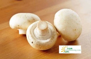 口蘑的营养价值与功效，食用口蘑有哪些注意事项？,第3图