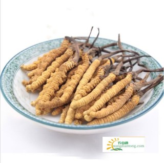 虫草菇炖排骨玉米，小孩吃虫草菇的副作用,第2图