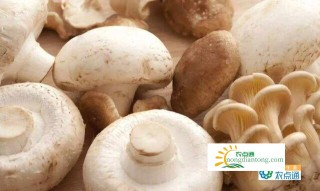 白蘑菇是口蘑吗？怎样挑选口蘑？,第3图