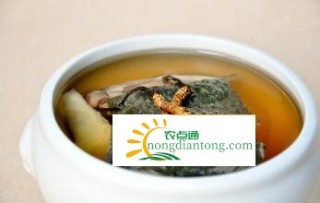 滋阴补肾润肺养心的冬虫夏草炖甲鱼,第2图