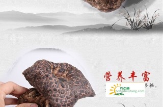 哺乳期可以吃虎掌菌吗？虎掌菌有哪些禁忌,第2图