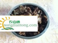 小白菜冻豆腐榛蘑 好吃健康不上火,第1图