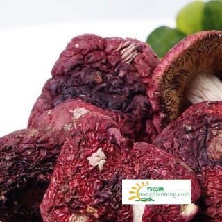 干大红菇的功效与作用和营养价值,第2图