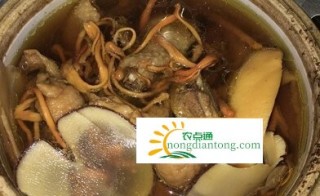 吃海底椰虫草花炖鸡汤的好处滋阴润肺除燥,第3图