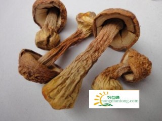 姬松茸煲骨头汤，姬松茸的禁忌,第3图