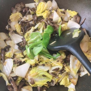  白菜炒蘑菇 第6步