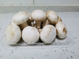  白蘑菇 第1步