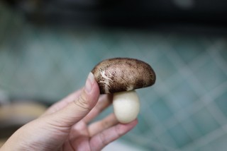  豆沙蘑菇包 第14步