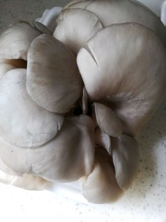  香炸蘑菇 第1步