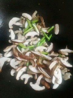  蘑菇炒肉 第8步