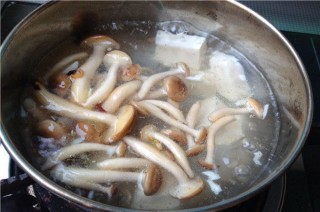  丝瓜菌菇豆腐汤 第6步