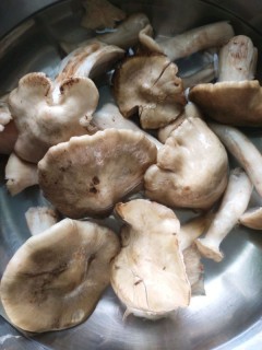  野生杏菇–味道鲜美可口 第1步